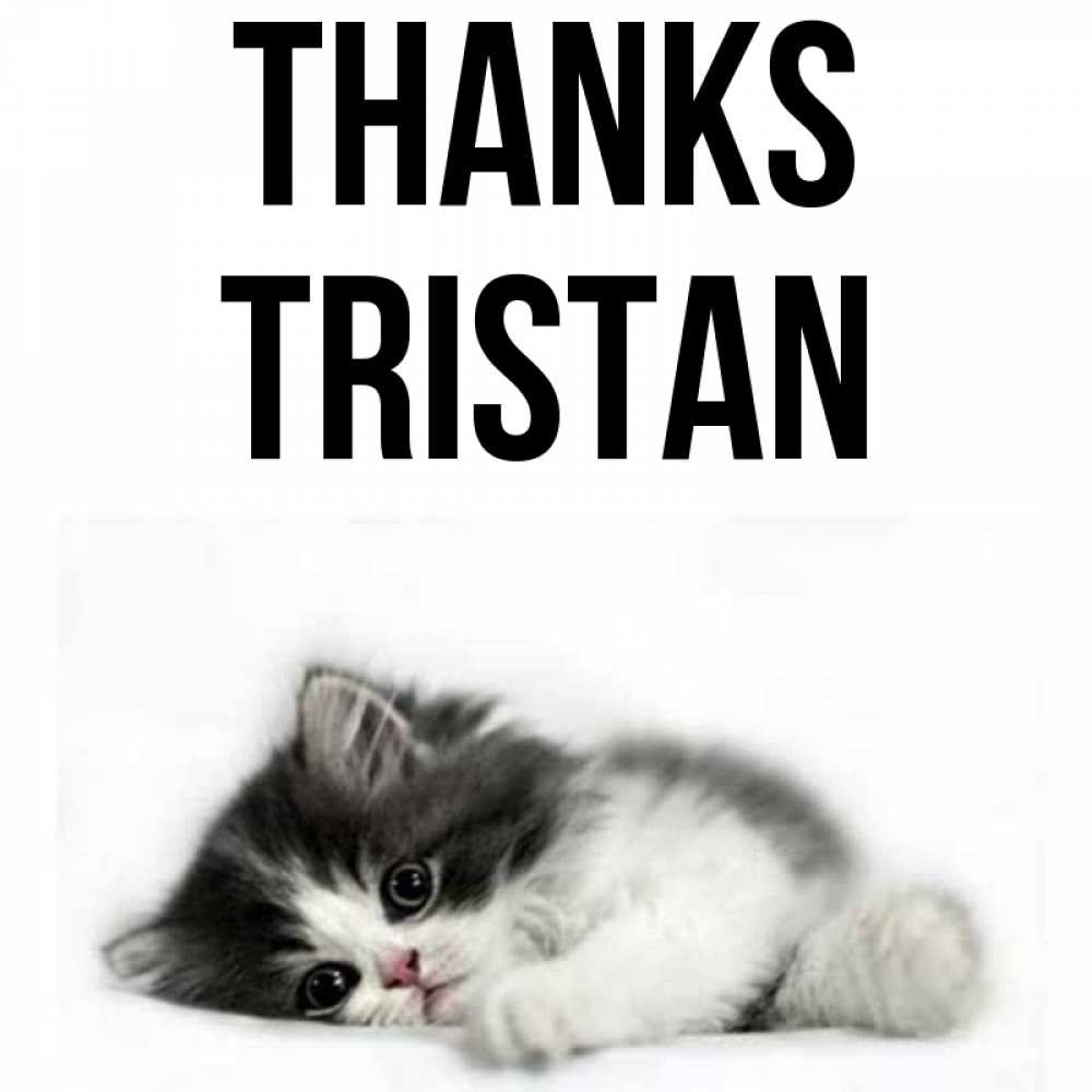 Greetings card с именем, Tristan Thanks черный и белый кот Greetings with text for free download 