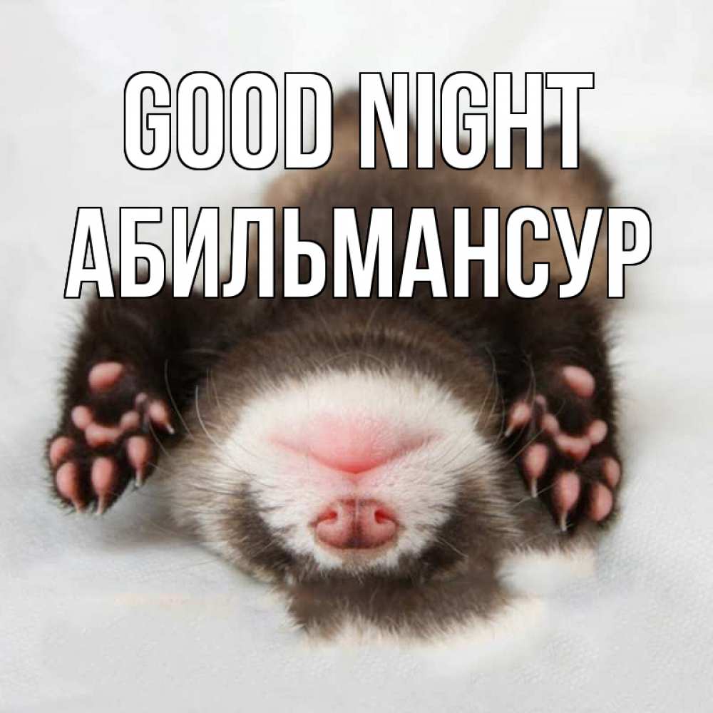 Greetings card с именем, Абильмансур Good night зверек Greetings with text for free download 