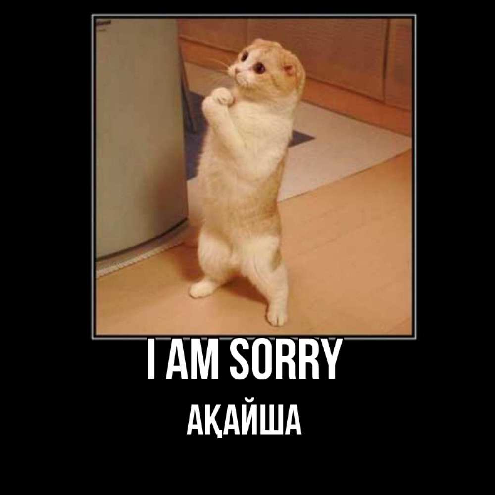 Greetings card с именем, АҚАЙША I am sorry открытка с милым несчастным котиком просящим прощения Greetings with text for free download 