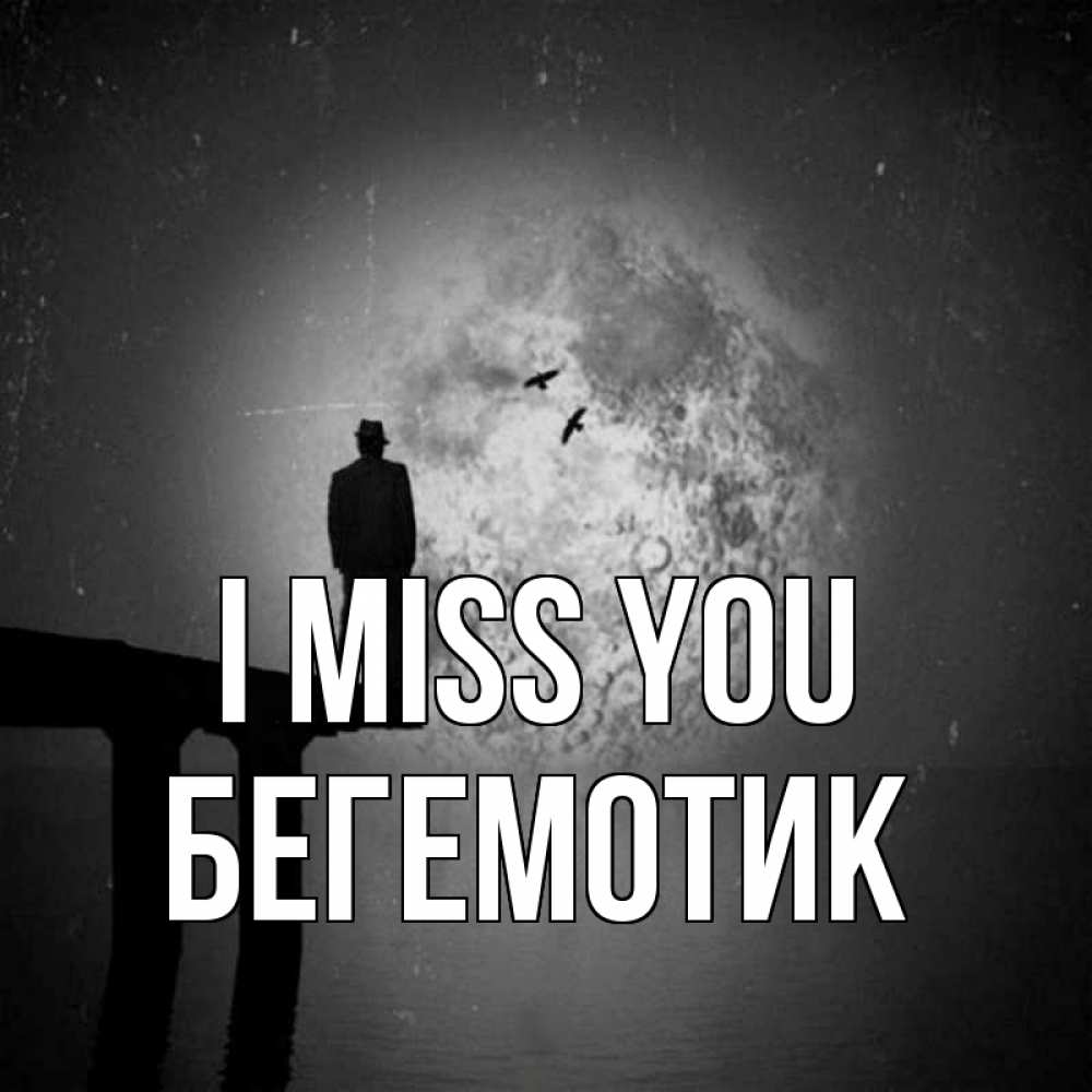 Greetings card с именем, Бегемотик I miss you мост 1 Greetings with text for free download 