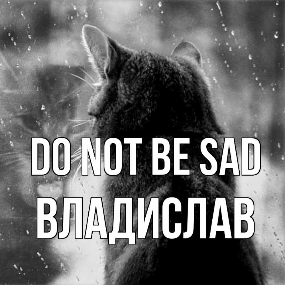 Greetings card с именем, Владислав Do not be sad отражение кота 1 Greetings with text for free download 