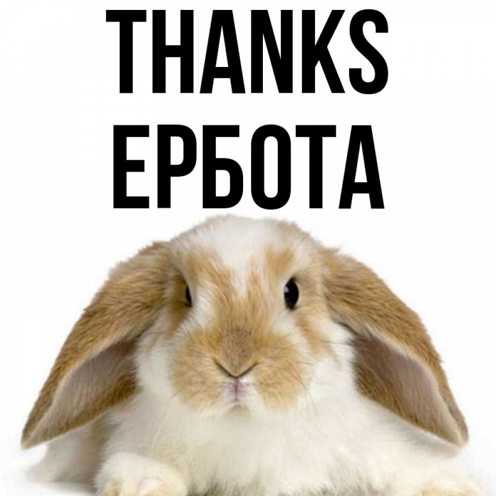 Greetings card с именем, Ербота Thanks коричнево белый заяц Greetings with text for free download 