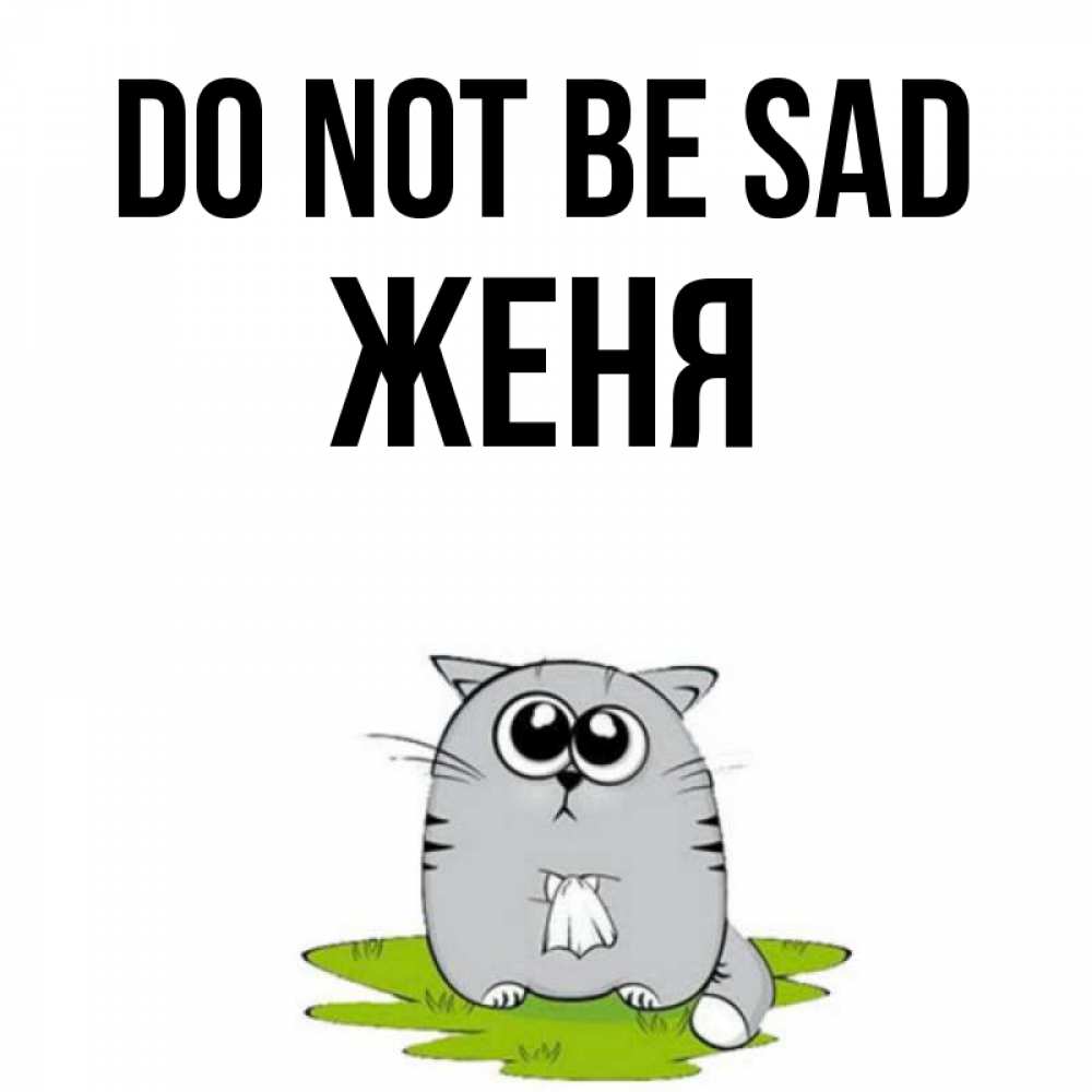 Greetings card с именем, Женя Do not be sad грустный котяра Greetings with text for free download 
