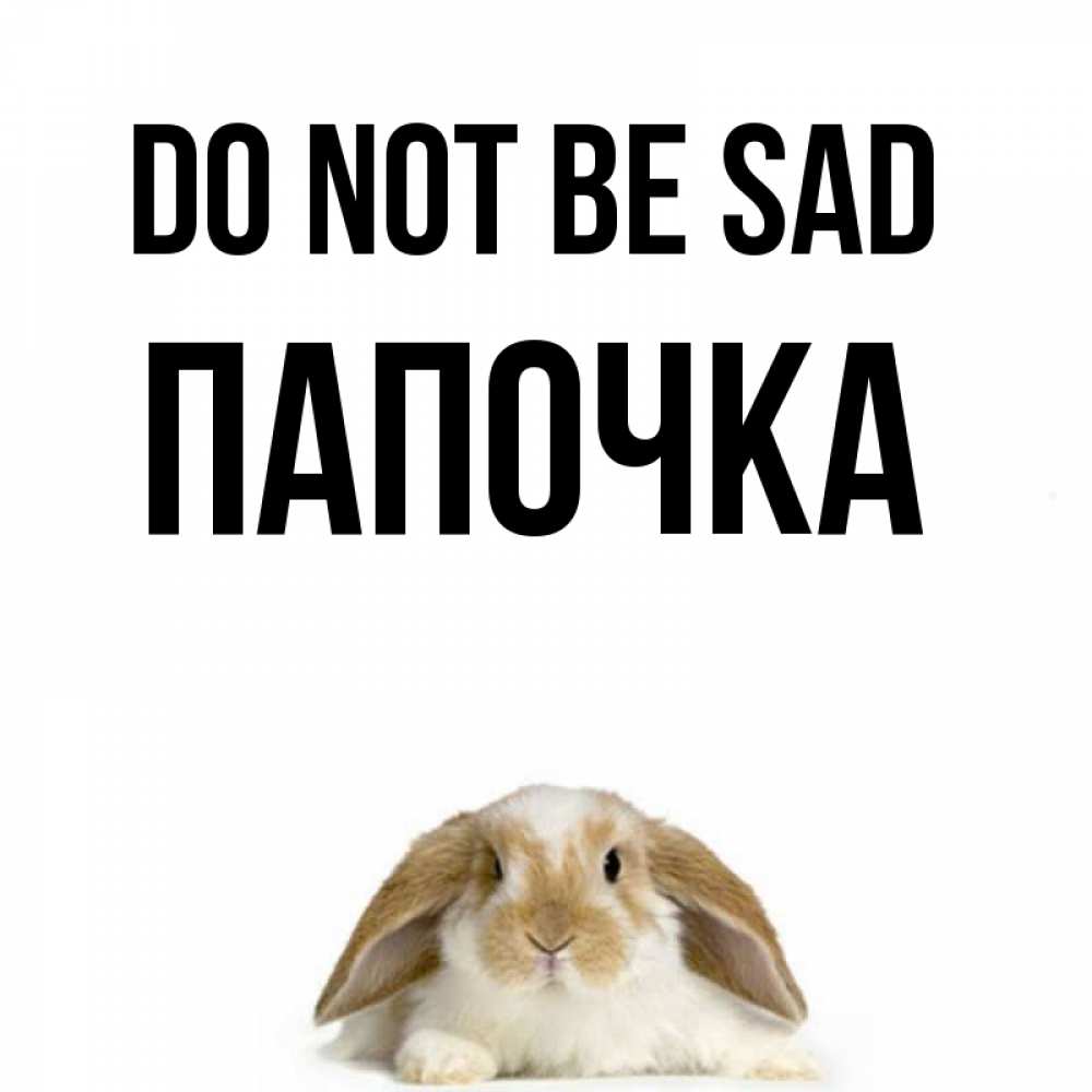 Greetings card с именем, Папочка Do not be sad коричнево белый заяц с большими ушками Greetings with text for free download 