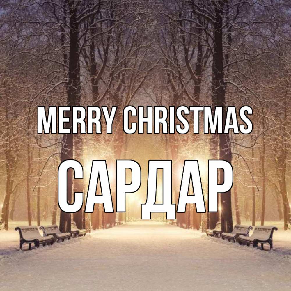 Greetings card с именем, САРДАР Merry Christmas зима, парк, фонарь, лес Greetings with text for free download 