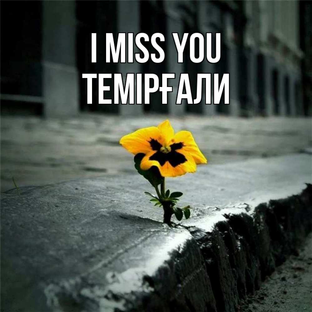 Greetings card с именем, ТЕМІРҒАЛИ I miss you надеюсь будет лучше Greetings with text for free download 