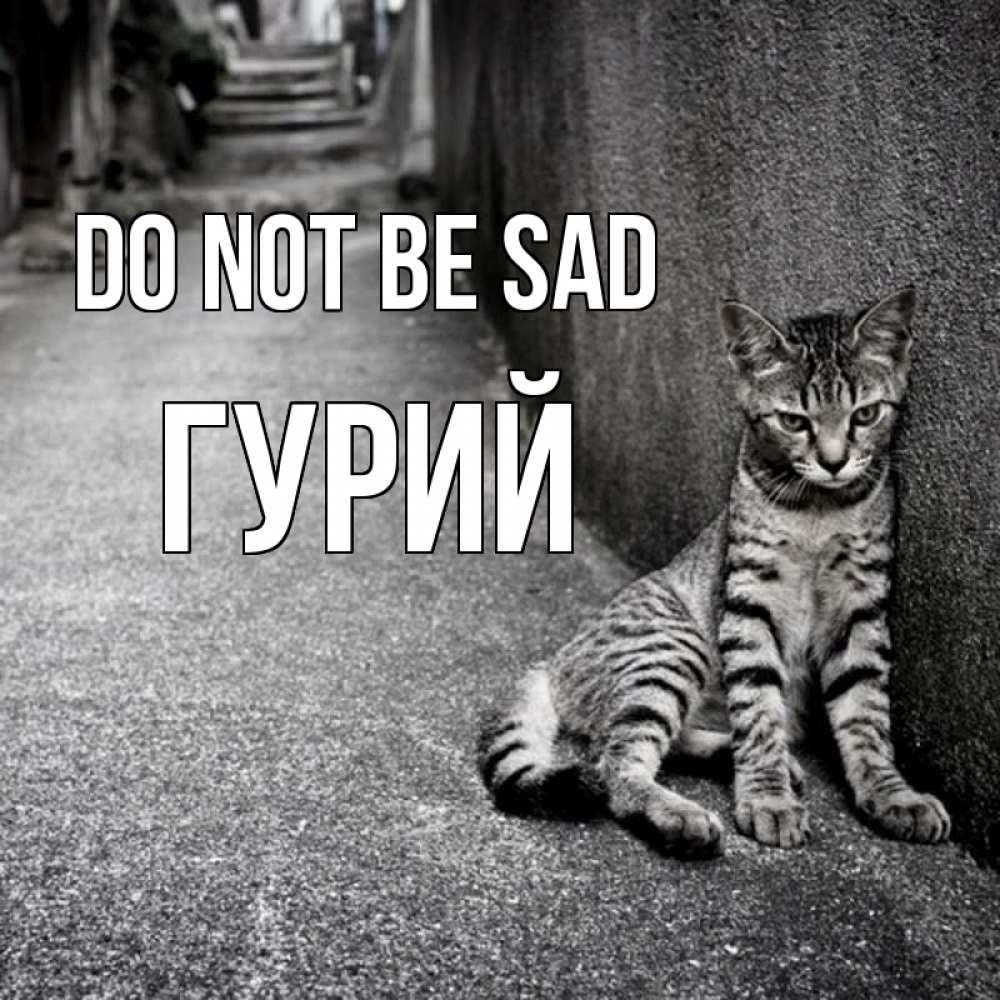 Greetings card с именем, Гурий Do not be sad скучающий котик Greetings with text for free download 