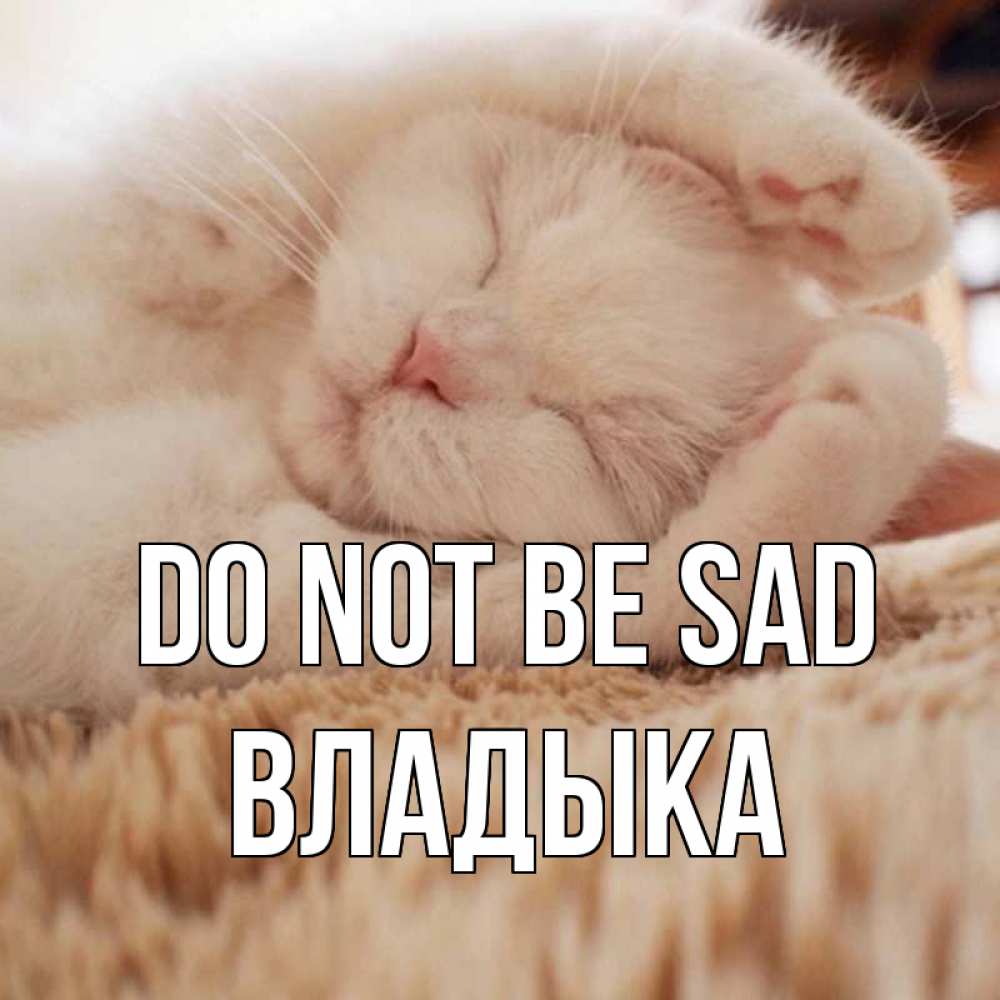 Greetings card с именем, Владыка Do not be sad белый кот Greetings with text for free download 