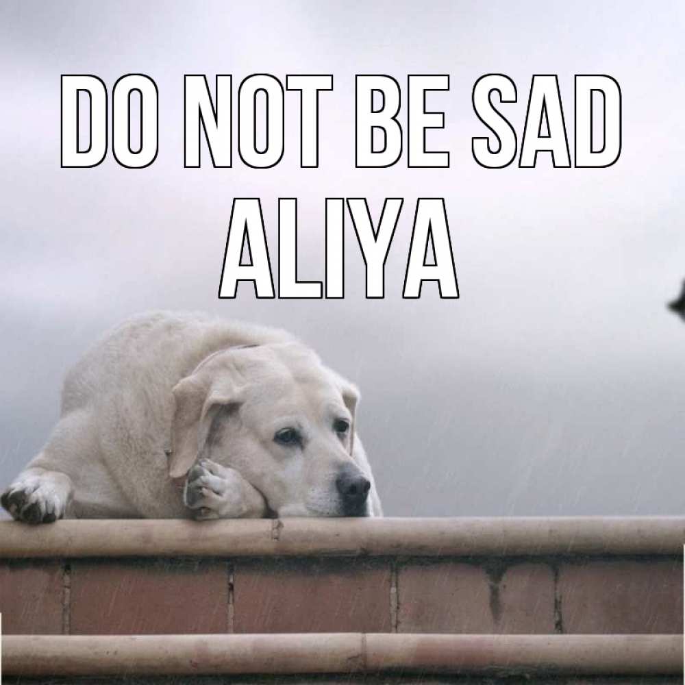 Greetings card с именем, Aliya Do not be sad белый пес 1 Greetings with text for free download 