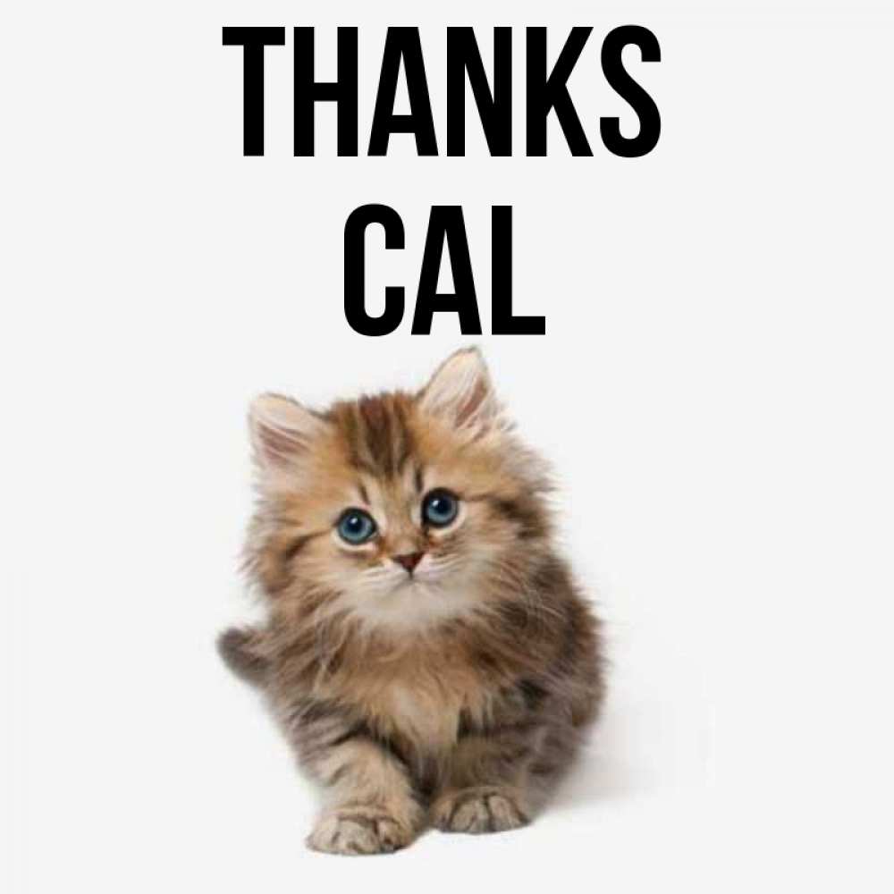 Greetings card с именем, Cal Thanks пушистый котик Greetings with text for free download 