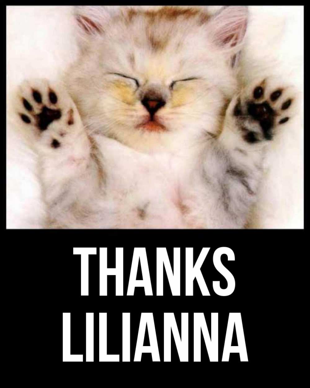 Greetings card с именем, Lilianna Thanks маленький котенок Greetings with text for free download 