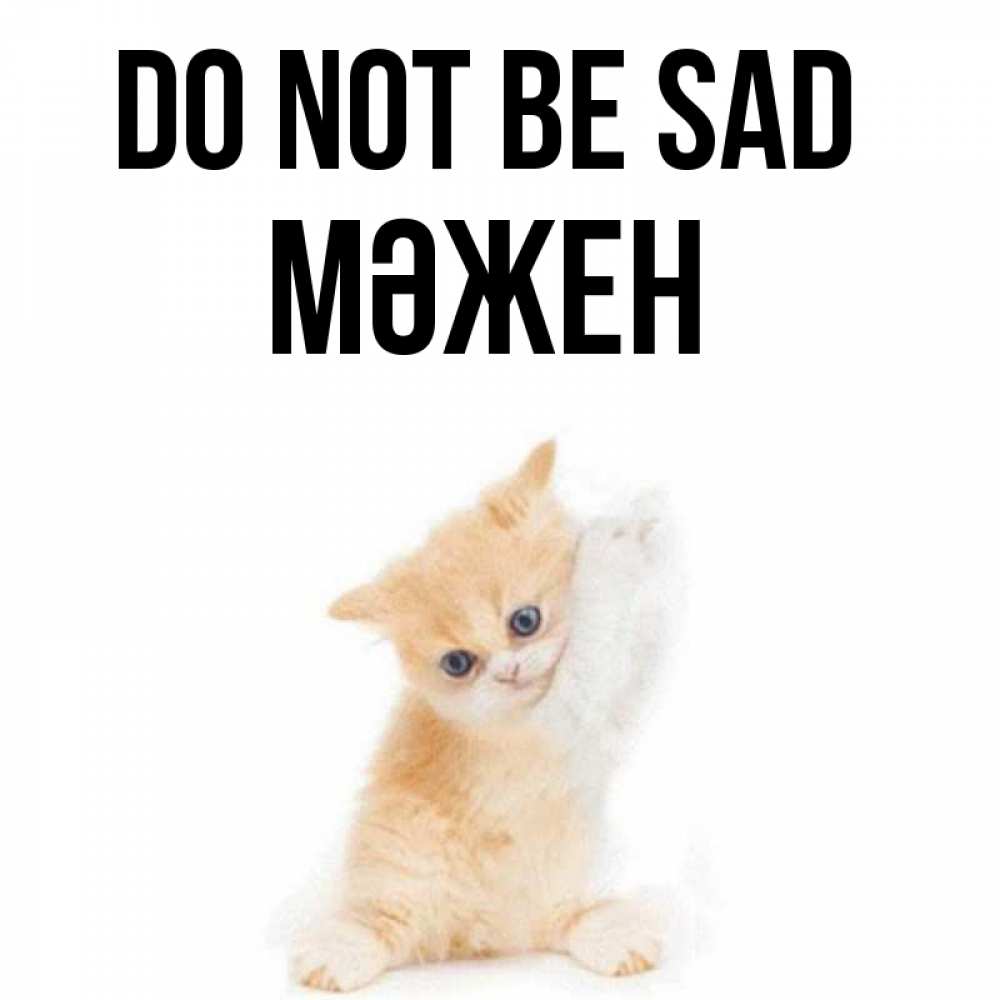 Greetings card с именем, МӘЖЕН Do not be sad просящий кот Greetings with text for free download 