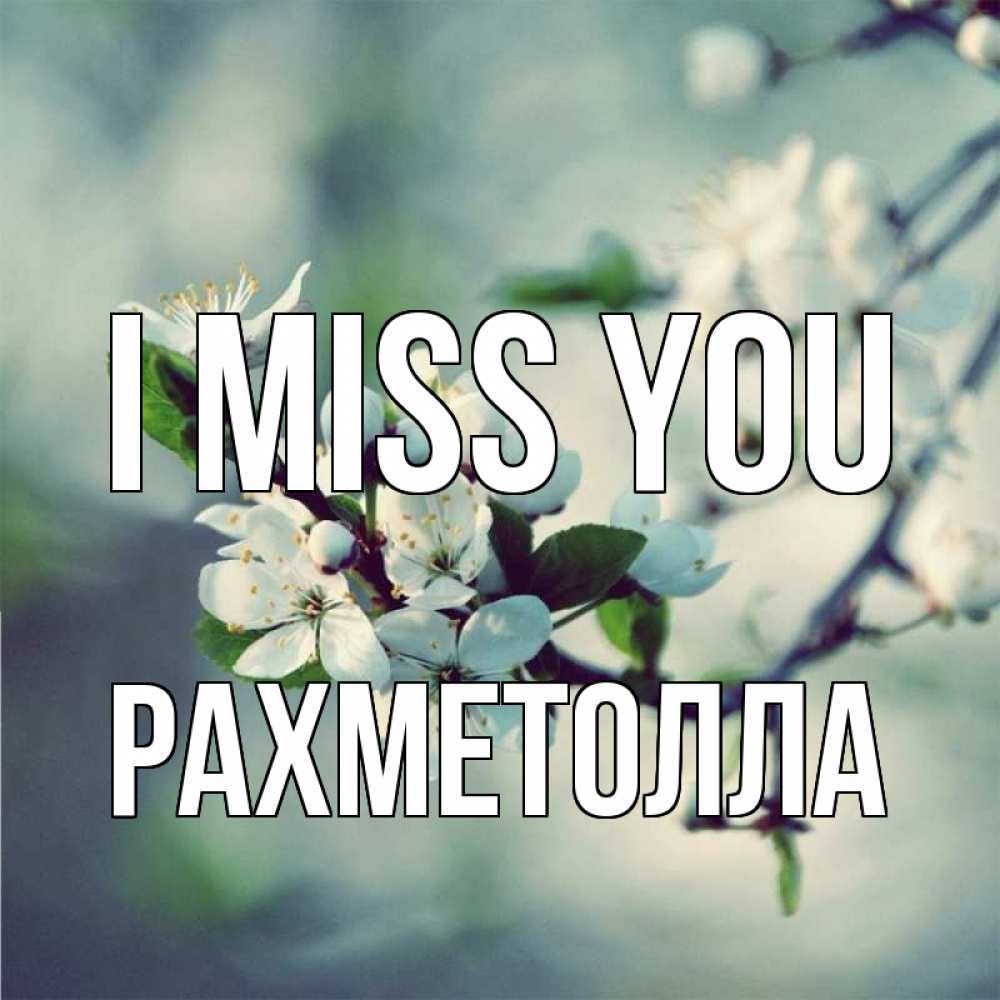 Greetings card с именем, РАХМЕТОЛЛА I miss you весна Greetings with text for free download 
