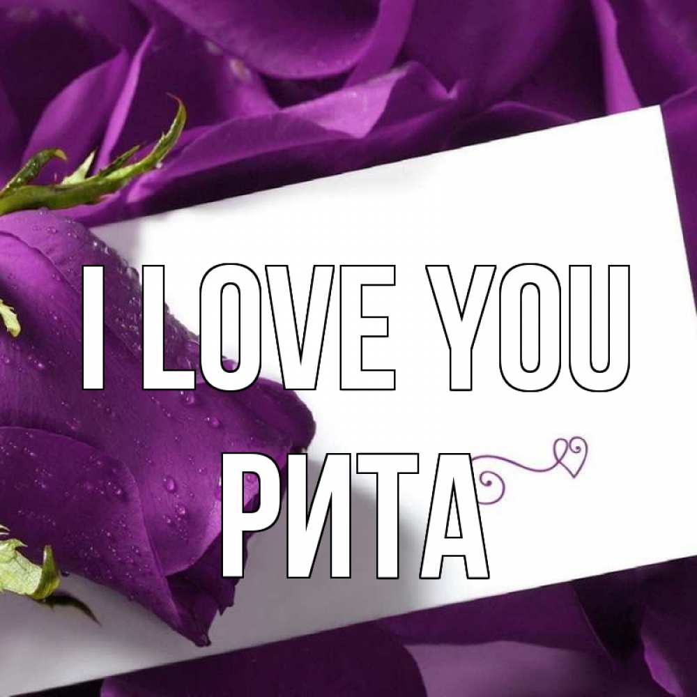 Greetings card с именем, Рита I love you роза Greetings with text for free download 