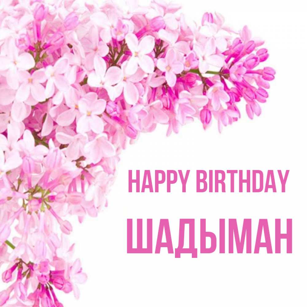 Greetings card с именем, ШАДЫМАН Happy Birthday Сирень на белом фоне Greetings with text for free download 