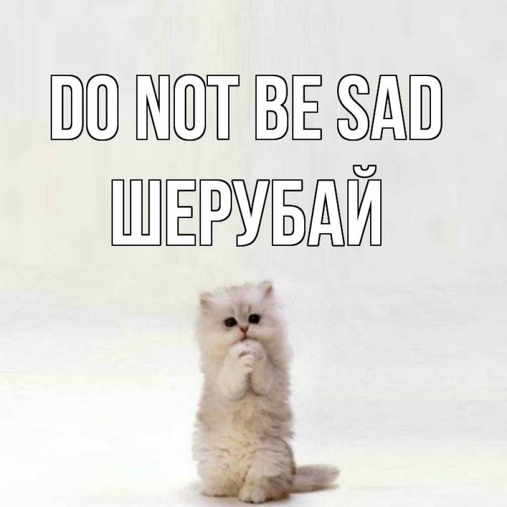 Greetings card с именем, ШЕРУБАЙ Do not be sad грустный кот Greetings with text for free download 