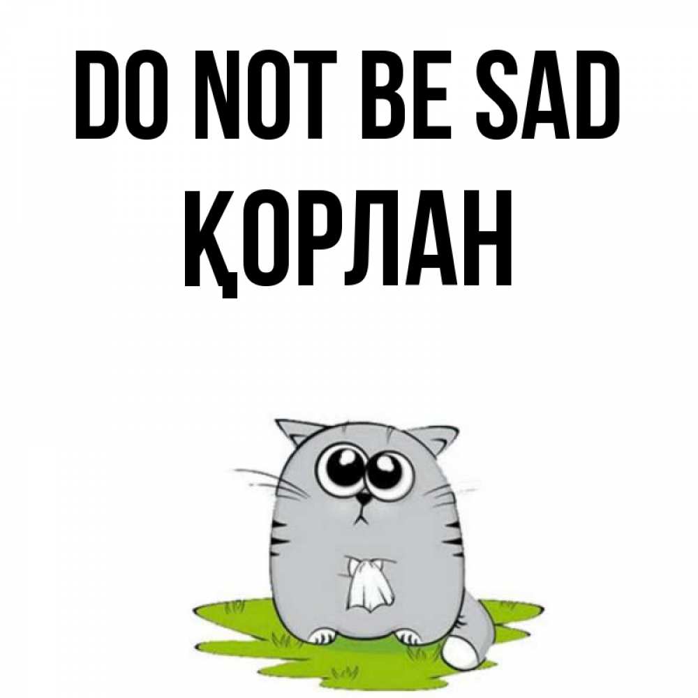 Greetings card с именем, ҚОРЛАН Do not be sad грустный котяра Greetings with text for free download 