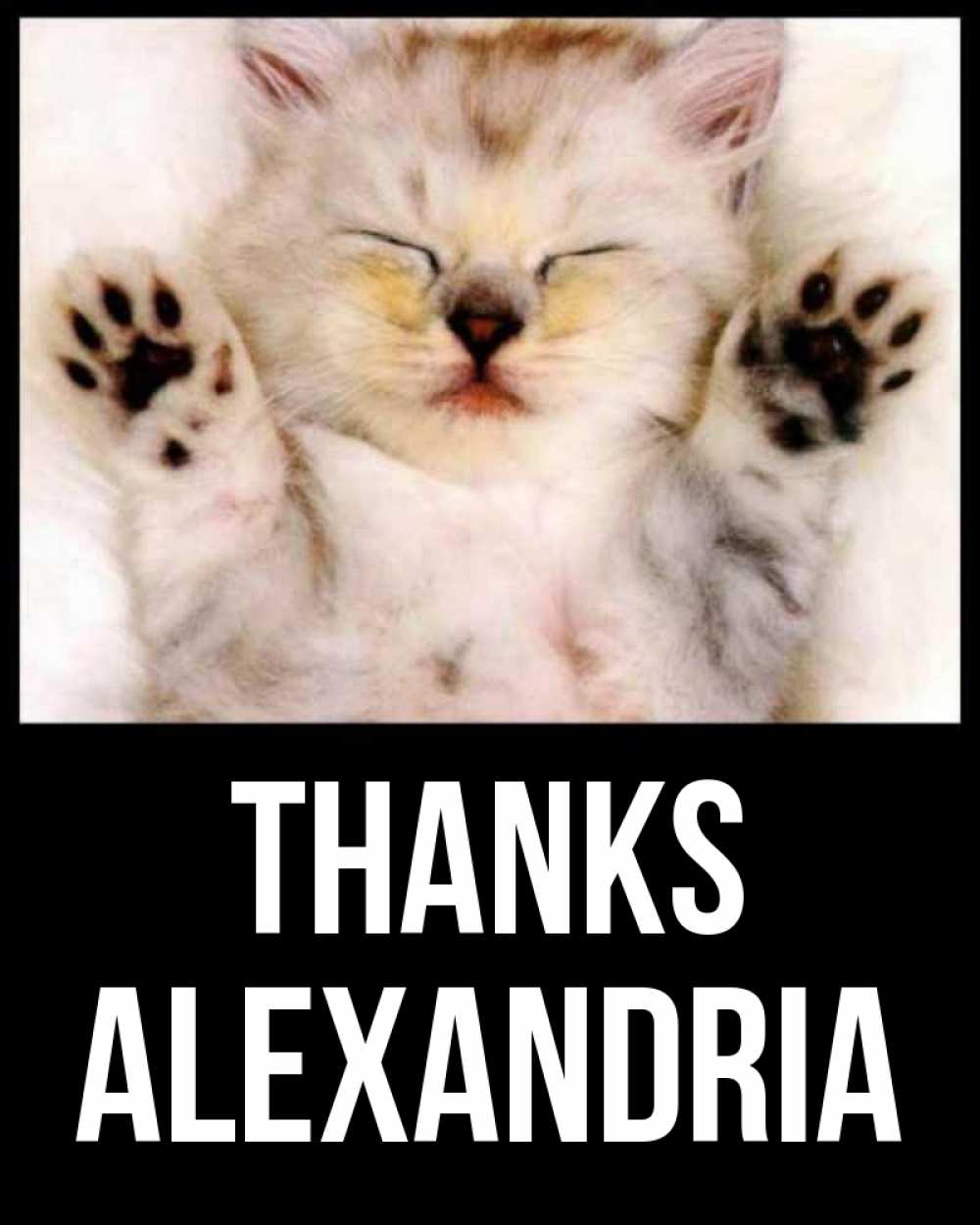 Greetings card с именем, Alexandria Thanks маленький котенок Greetings with text for free download 