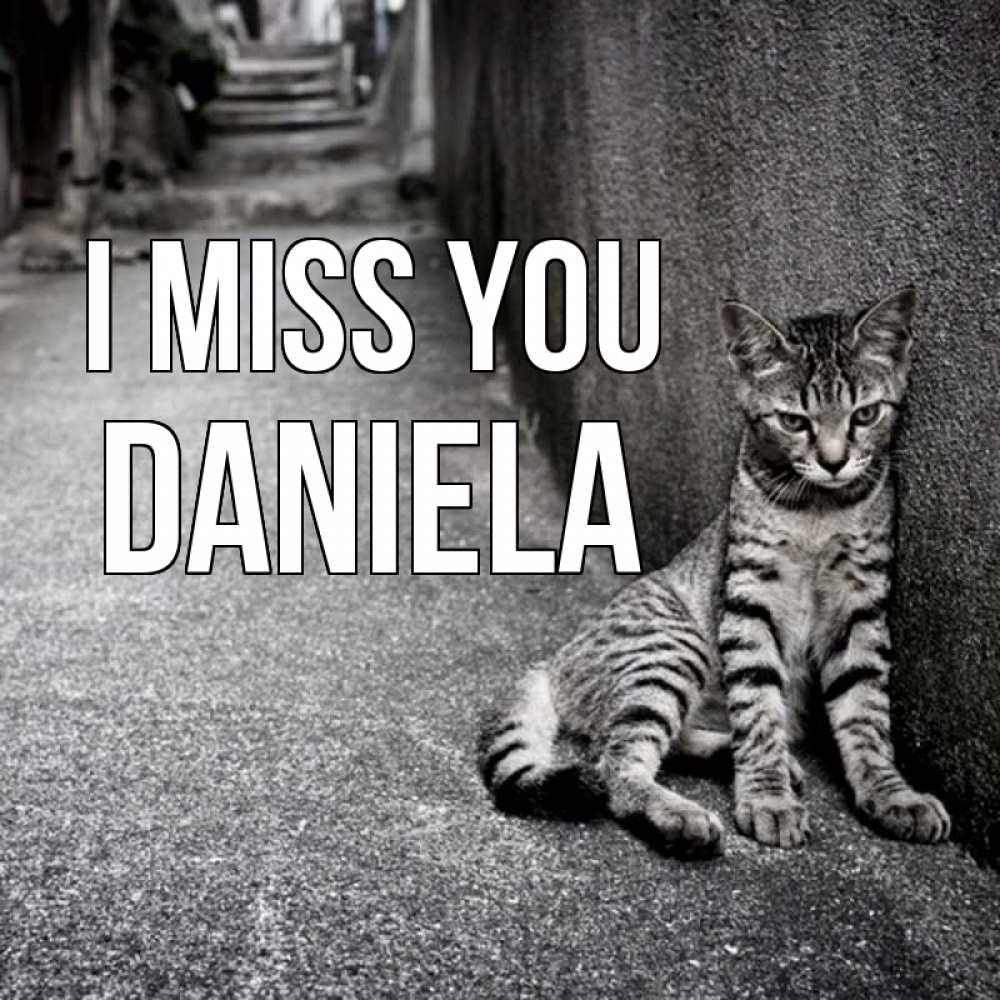 Greetings card с именем, Daniela I miss you одиноко котику Greetings with text for free download 