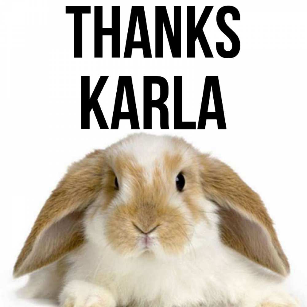 Greetings card с именем, Karla Thanks коричнево белый заяц Greetings with text for free download 