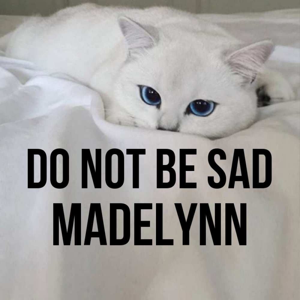 Greetings card с именем, Madelynn Do not be sad Голубоглазая кошка Greetings with text for free download 