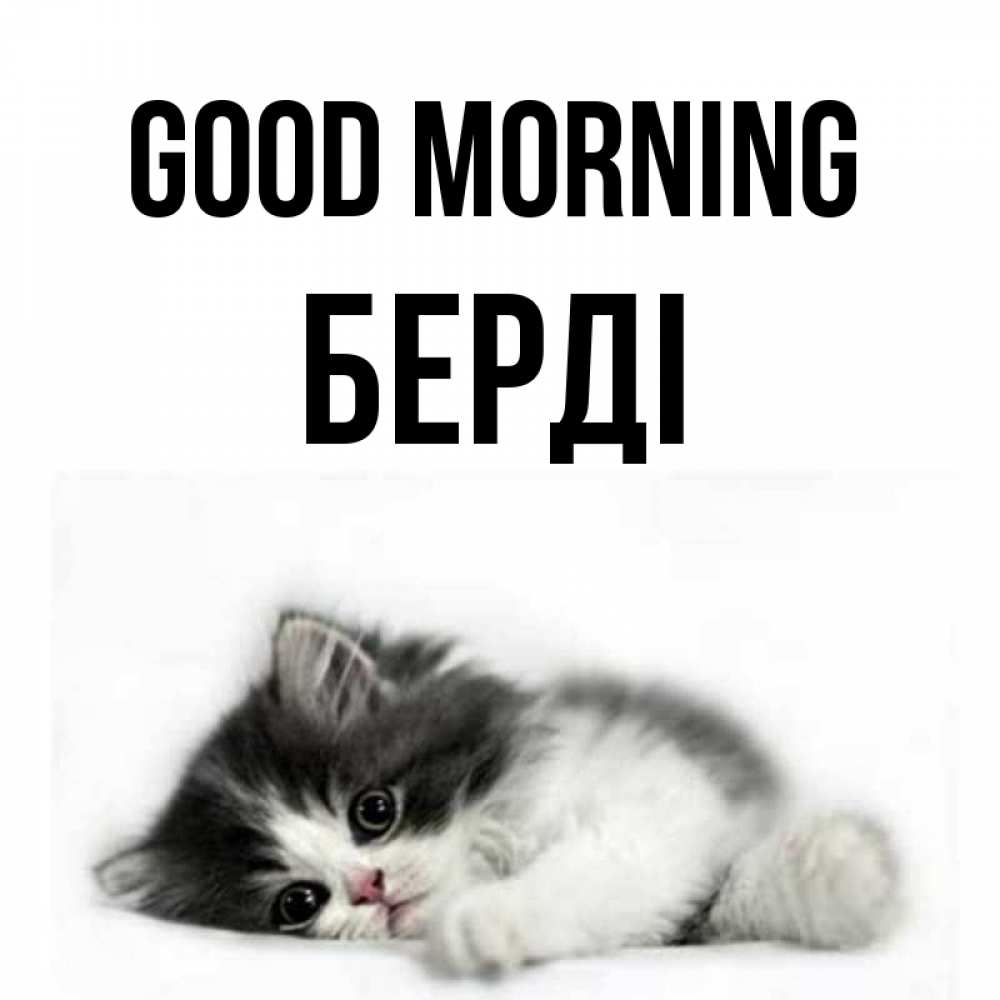 Greetings card с именем, Берді Good morning кот лапки Greetings with text for free download 
