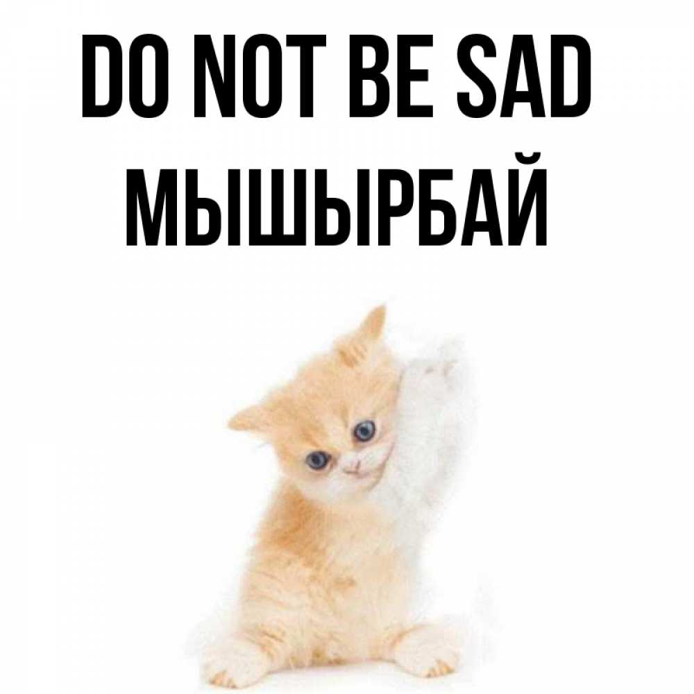 Greetings card с именем, МЫШЫРБАЙ Do not be sad просящий кот Greetings with text for free download 