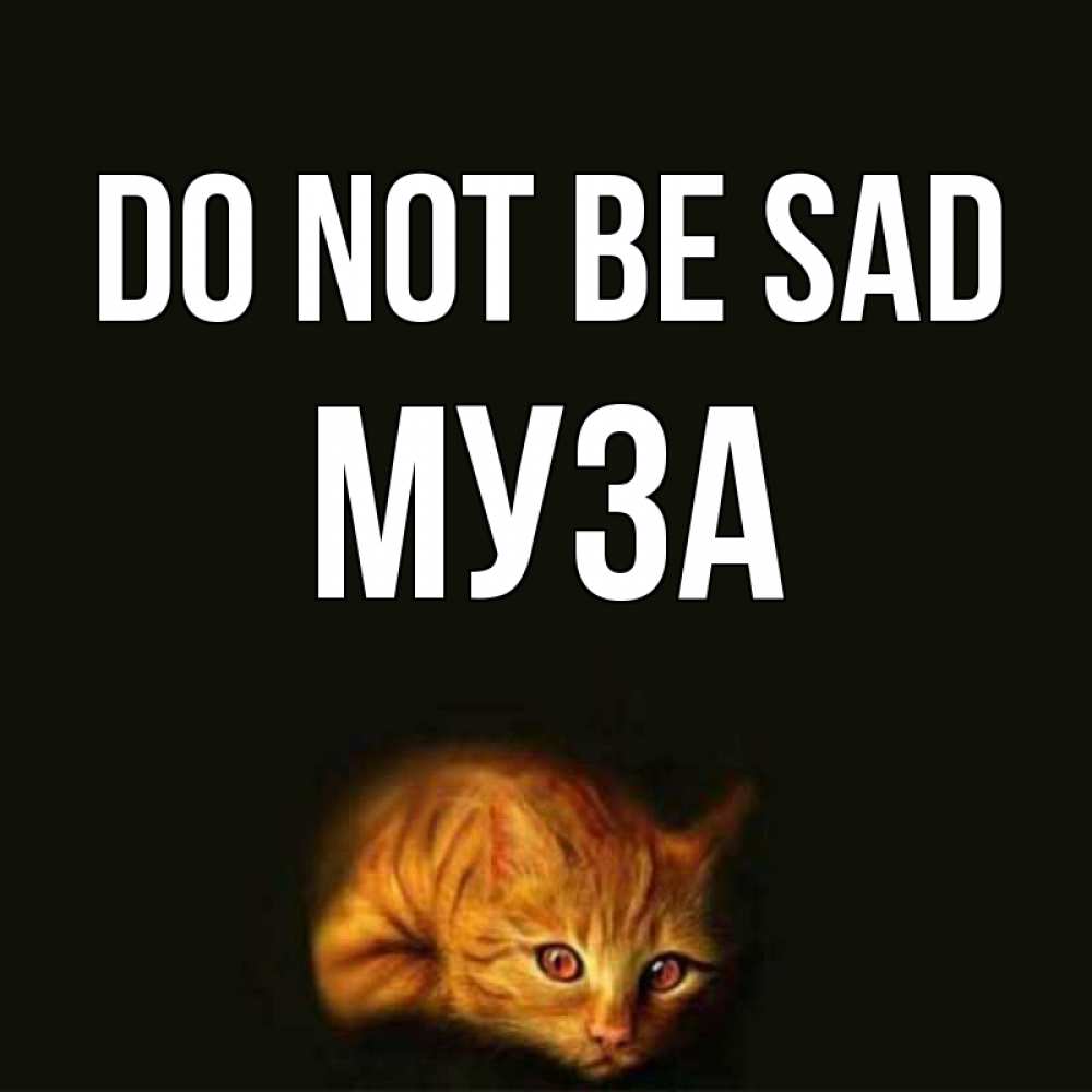 Greetings card с именем, Муза Do not be sad лежащий кот в темноте Greetings with text for free download 