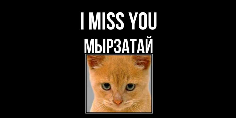Greetings card с именем, Мырзатай I miss you открытки рыжий котенок скучает по тебе Greetings with text for free download 