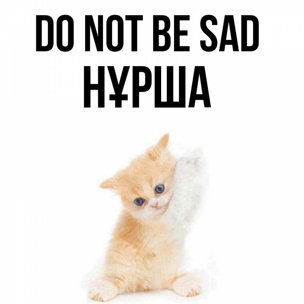 Greetings card с именем, НҰРША Do not be sad просящий кот Greetings with text for free download 
