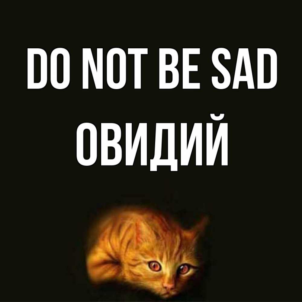 Greetings card с именем, Овидий Do not be sad лежащий кот в темноте Greetings with text for free download 