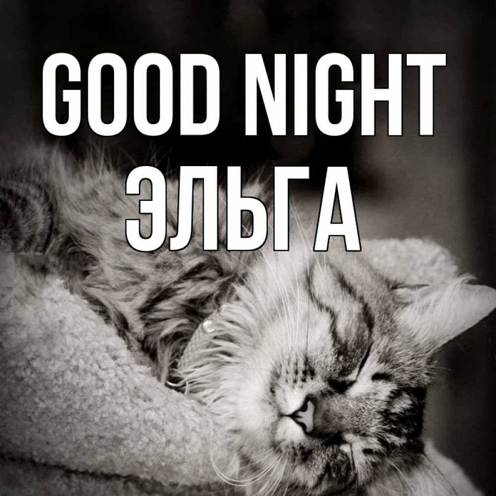 Greetings card с именем, Эльга Good night котярик пушистый Greetings with text for free download 