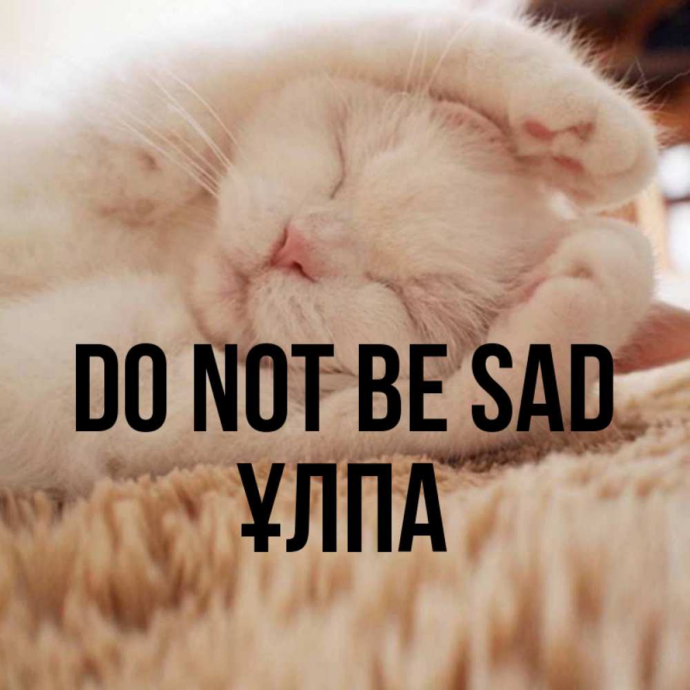 Greetings card с именем, ҰЛПА Do not be sad Котенок спит Greetings with text for free download 