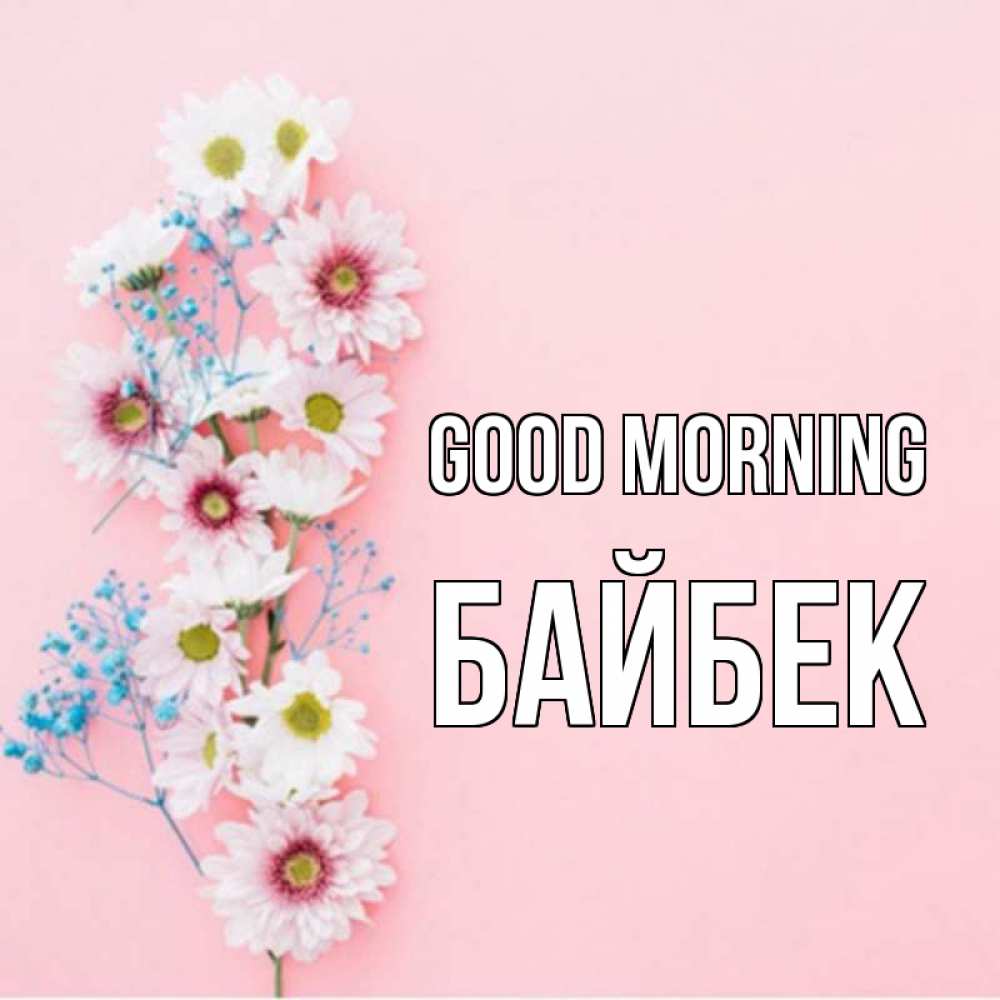 Greetings card с именем, Байбек Good morning цветы с подписью Greetings with text for free download 