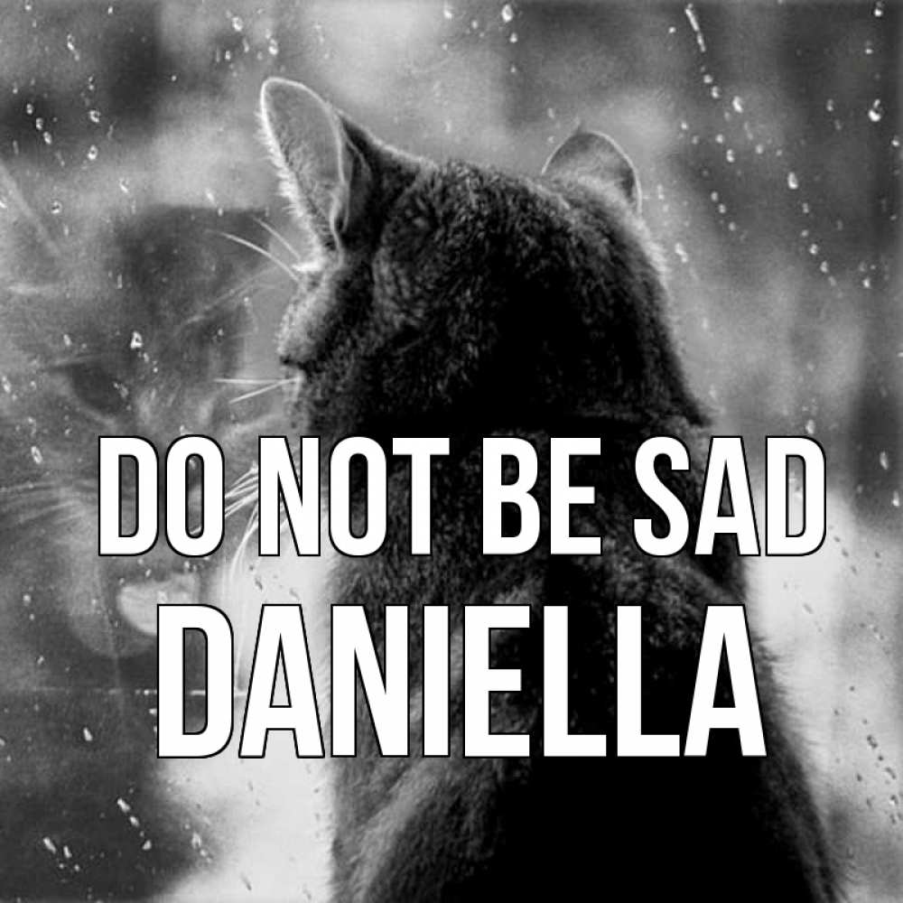 Greetings card с именем, Daniella Do not be sad отражение кота 1 Greetings with text for free download 