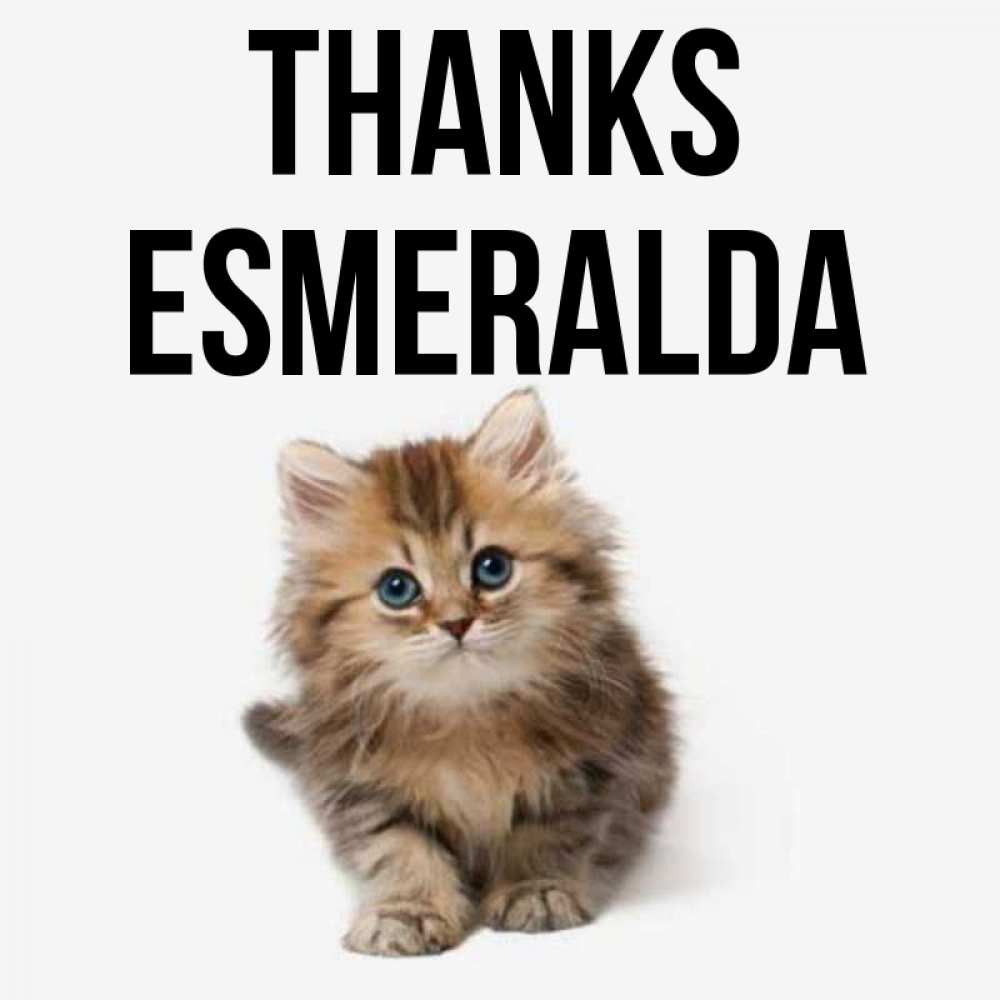 Greetings card с именем, Esmeralda Thanks пушистый котик Greetings with text for free download 