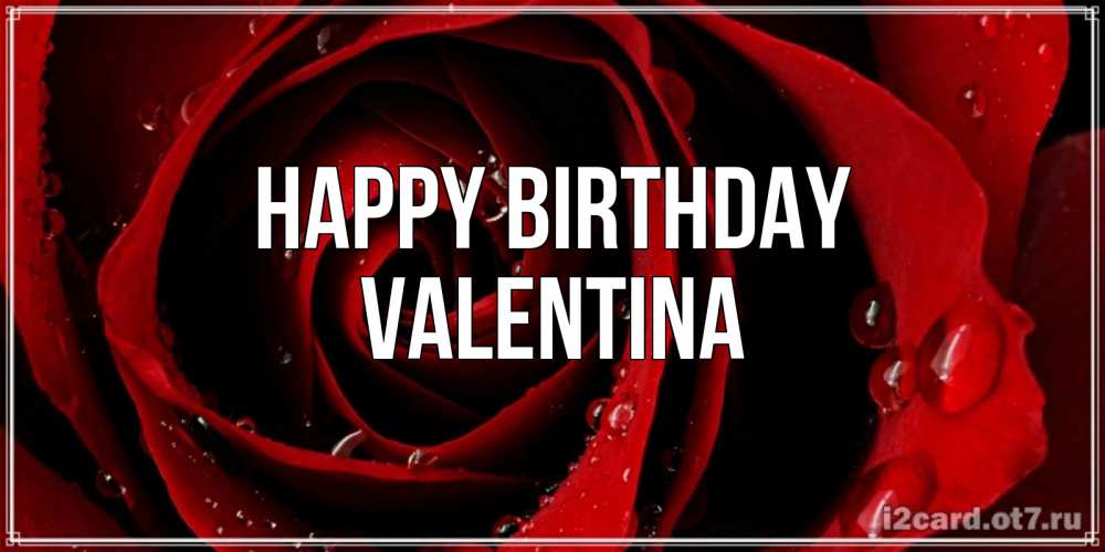 Greetings card с именем, Valentina Happy Birthday крупная бордовая роза Greetings with text for free download 