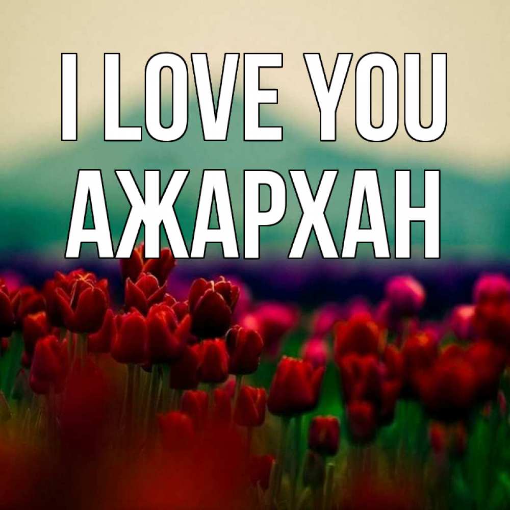 Greetings card с именем, АЖАРХАН I love you тюльпаны 4 Greetings with text for free download 