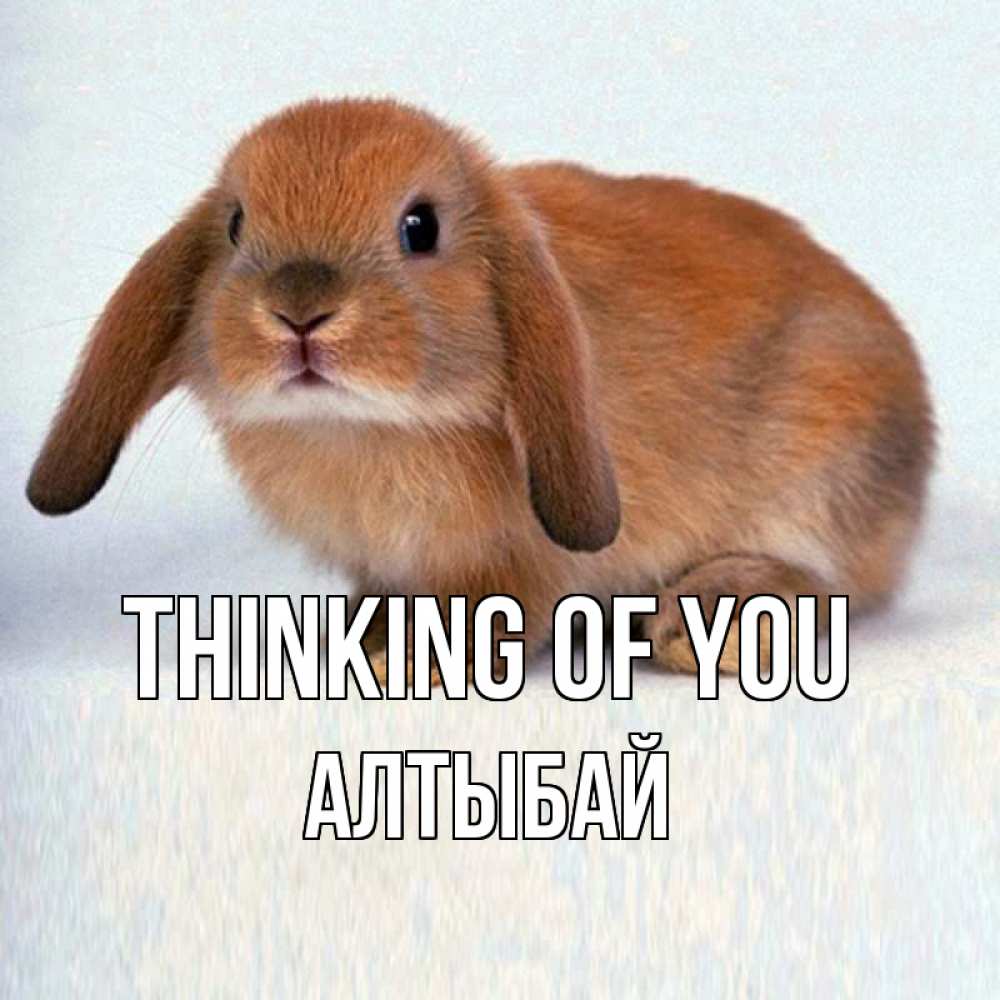 Greetings card с именем, Алтыбай Thinking of you кроль коричневый Greetings with text for free download 
