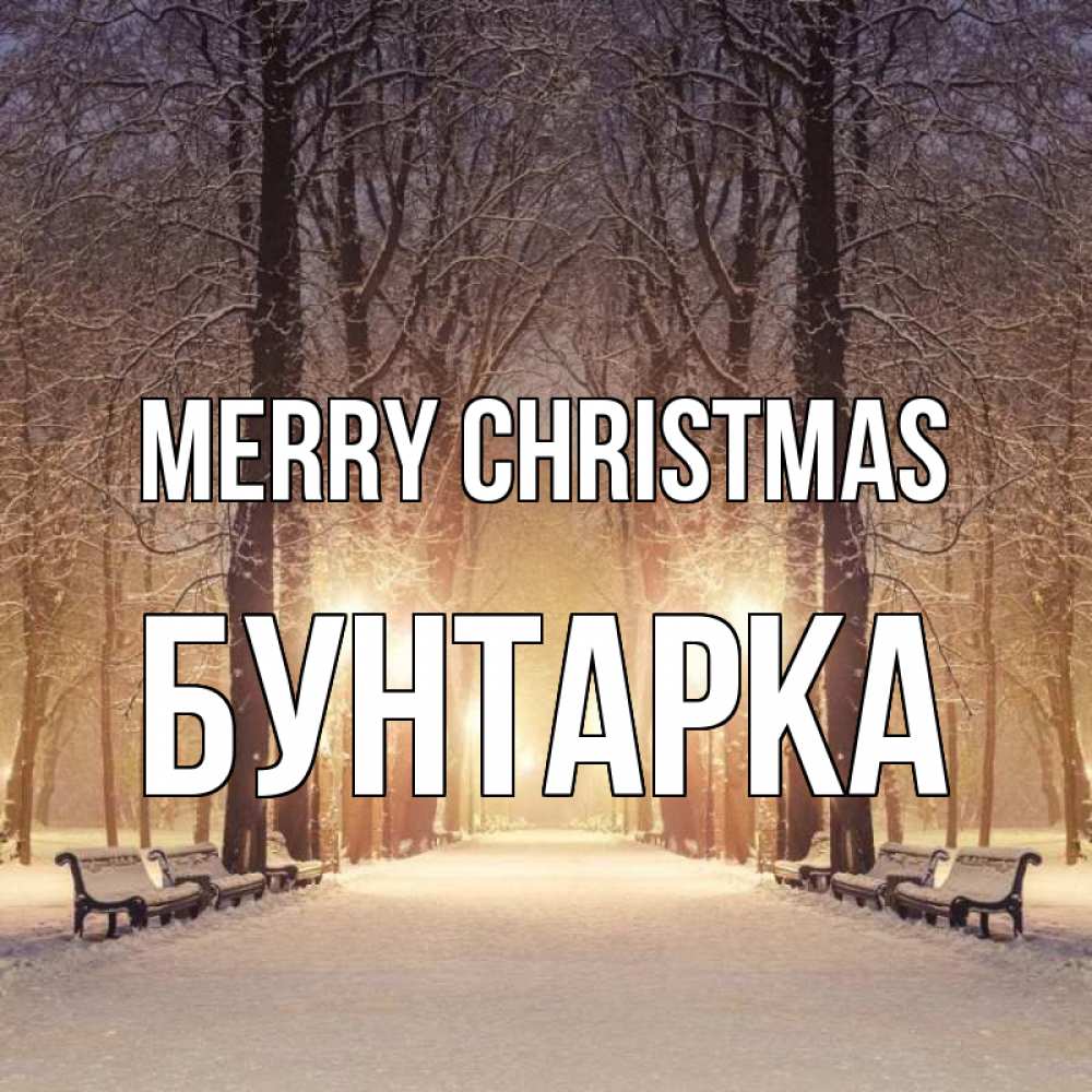 Greetings card с именем, Бунтарка Merry Christmas зима, парк, фонарь, лес Greetings with text for free download 