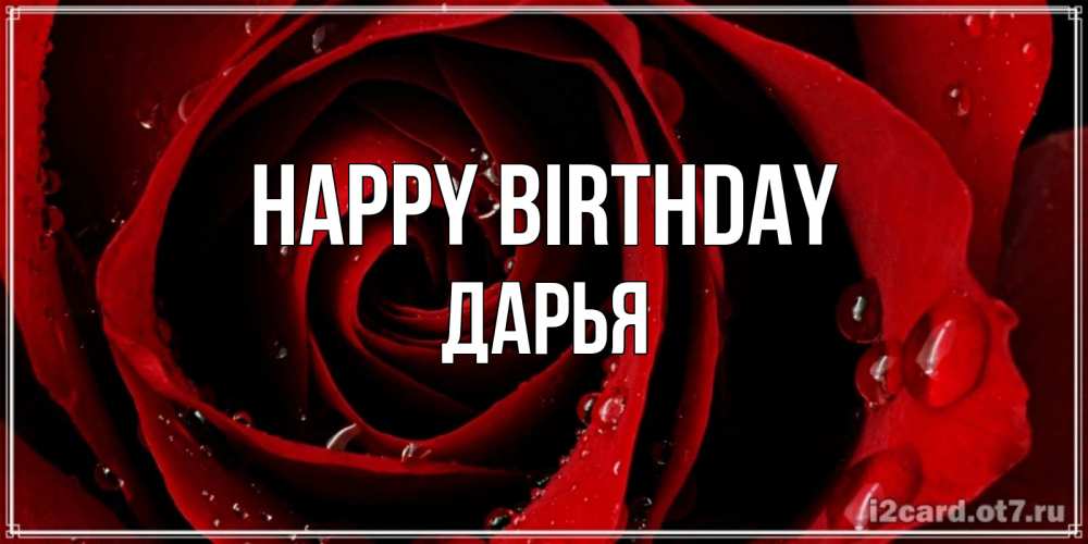 Greetings card с именем, Дарья Happy Birthday крупная бордовая роза Greetings with text for free download 