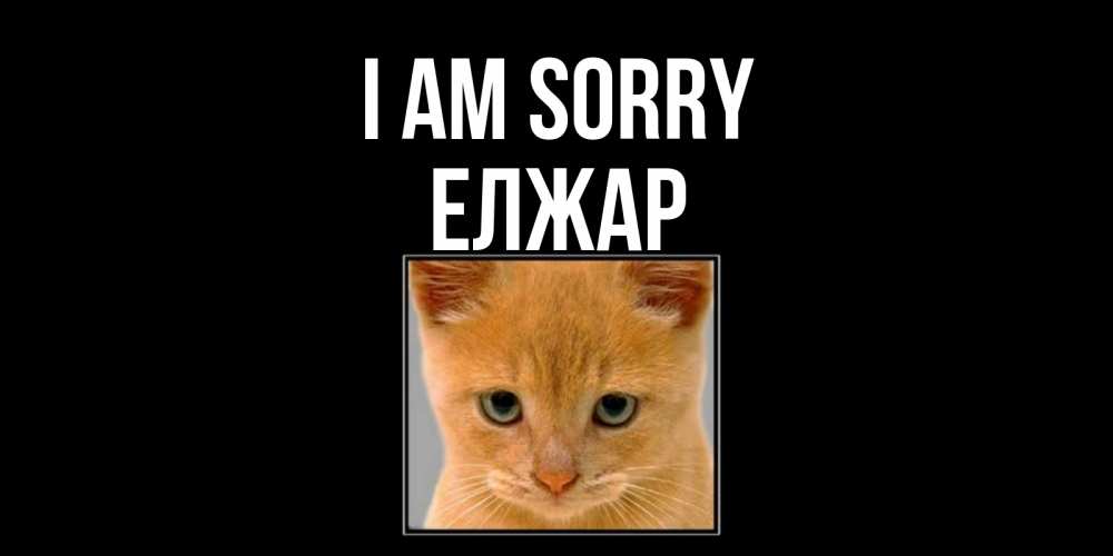 Greetings card с именем, Елжар I am sorry рыжий грустный кот просит прощения Greetings with text for free download 