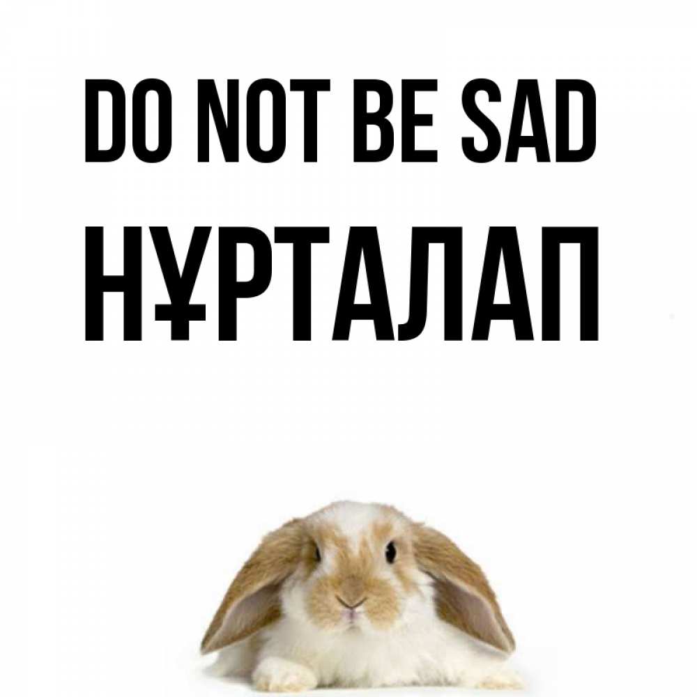 Greetings card с именем, НҰРТАЛАП Do not be sad коричнево белый заяц с большими ушками Greetings with text for free download 