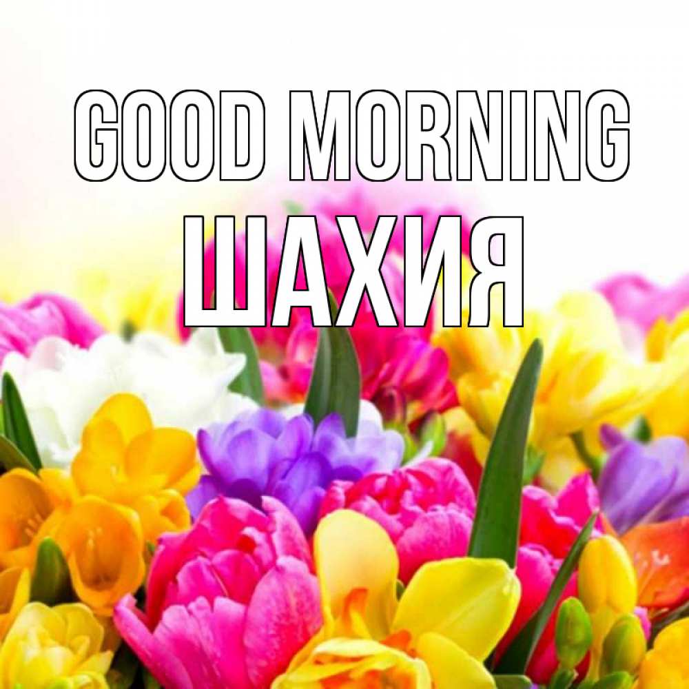 Greetings card с именем, ШАХИЯ Good morning создать открытку со свое подписью Greetings with text for free download 