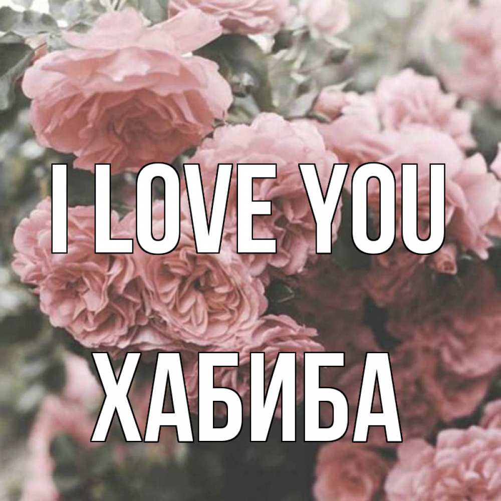 Greetings card с именем, ХАБИБА I love you розы 3 Greetings with text for free download 