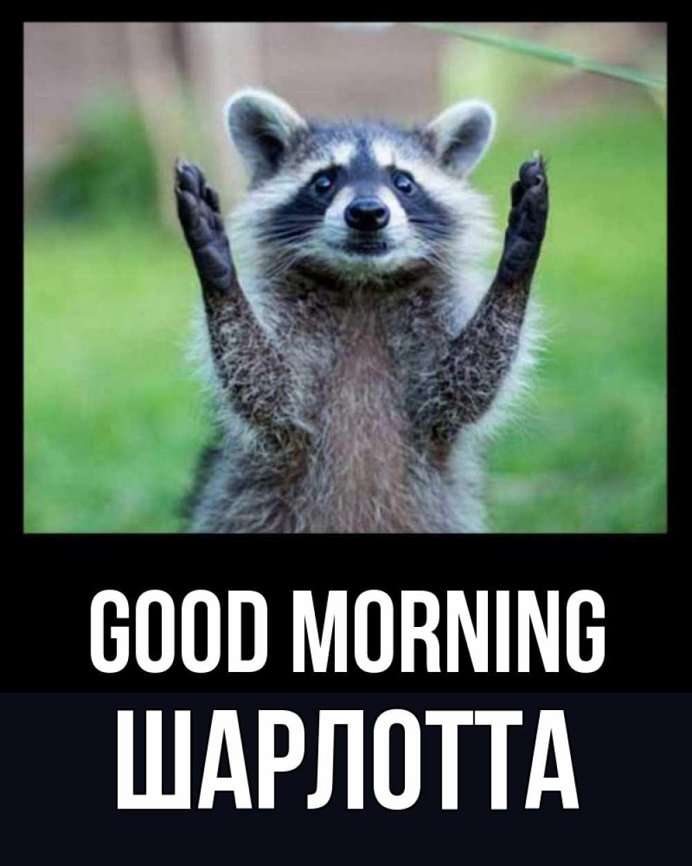 Greetings card с именем, Шарлотта Good morning хорошее настроение утречком Greetings with text for free download 