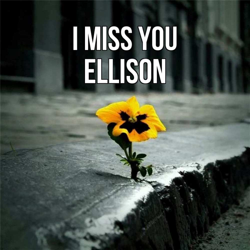 Greetings card с именем, Ellison I miss you надеюсь будет лучше Greetings with text for free download 