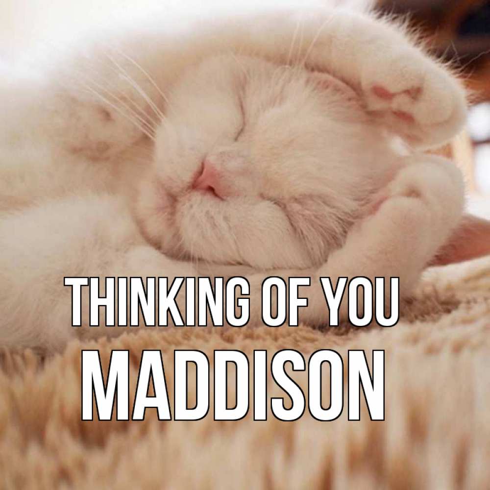 Greetings card с именем, Maddison Thinking of you для любимой девушки милота Greetings with text for free download 
