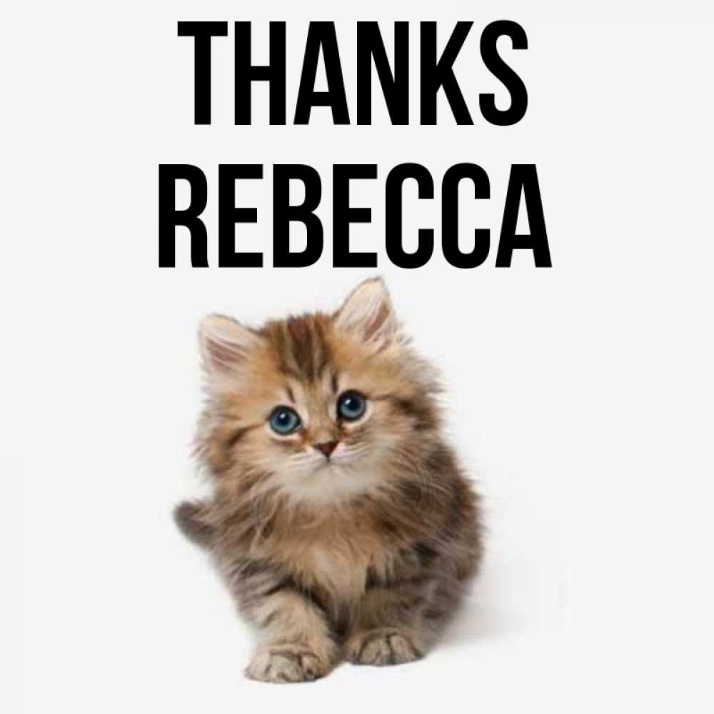 Greetings card с именем, Rebecca Thanks пушистый котик Greetings with text for free download 