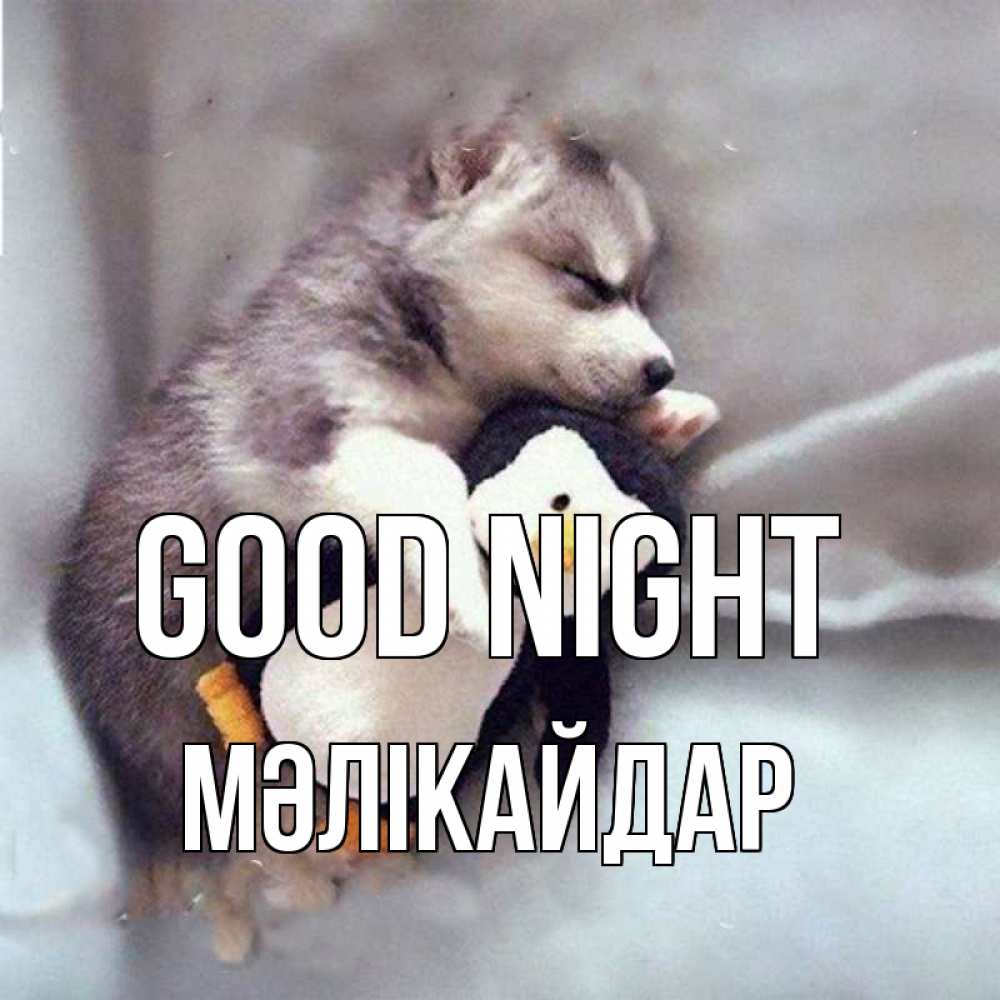 Greetings card с именем, МӘЛІКАЙДАР Good night обнимашки щенка и пингвина Greetings with text for free download 